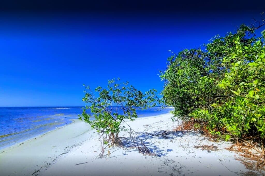 Bunche Beach Preserve