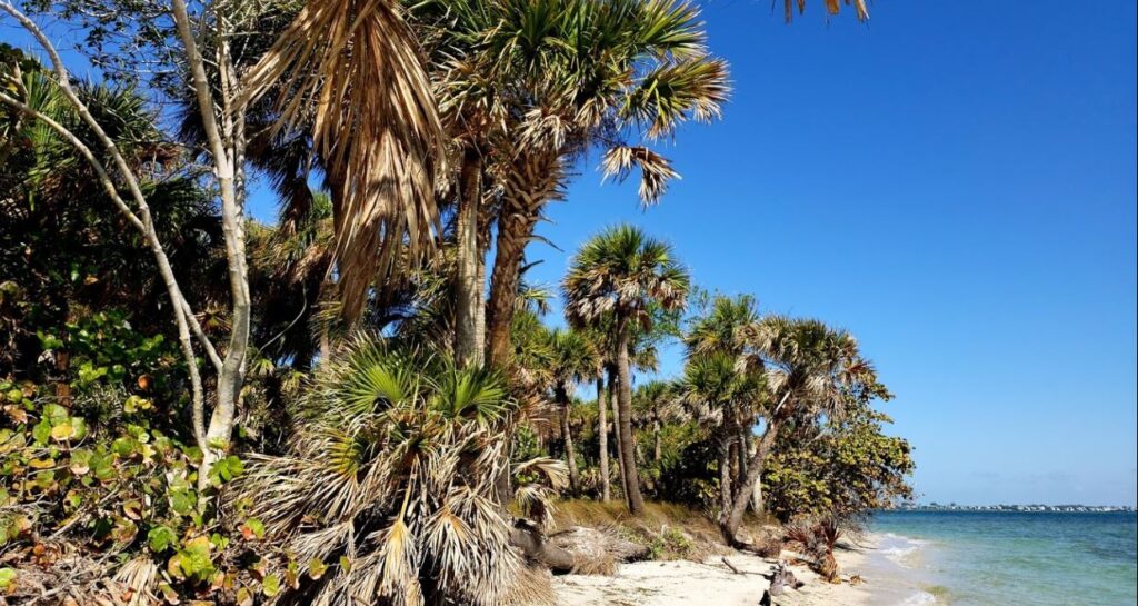 Cayo Costa State Park in Captiva
