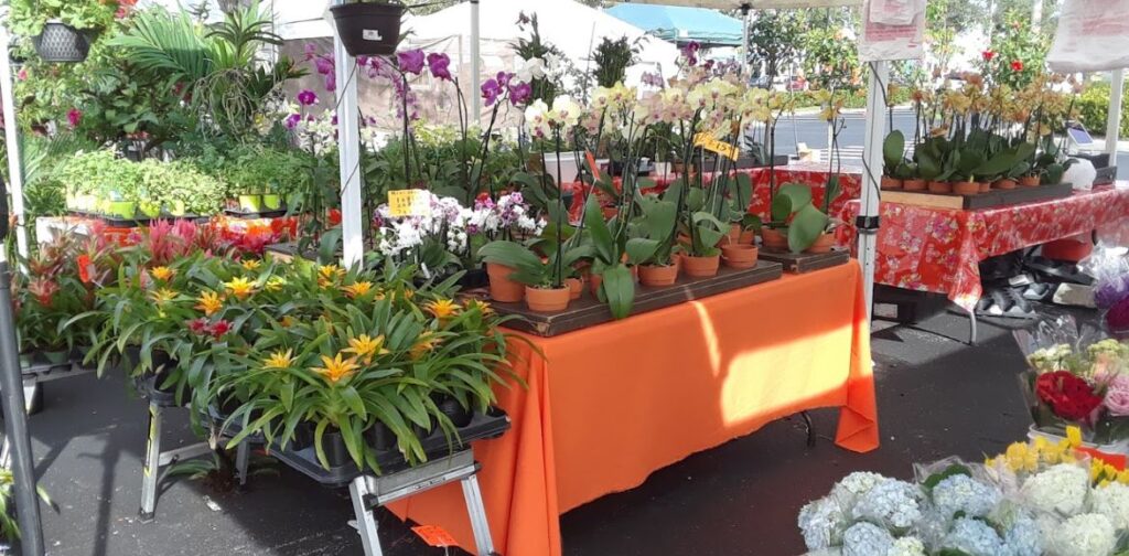 Pine Ridge Road Farmers Market in Naples