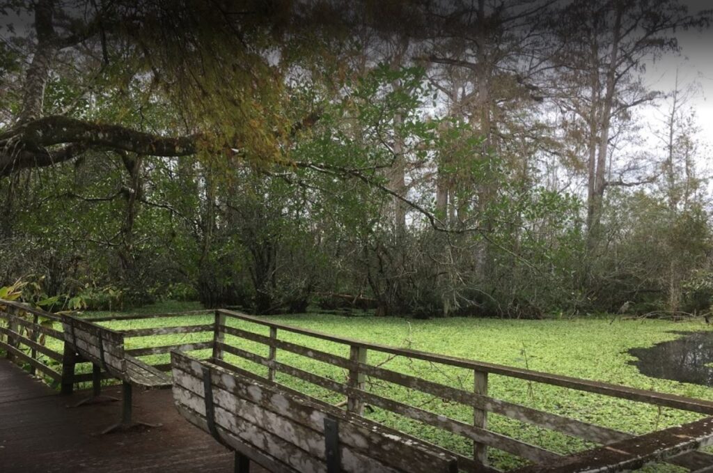 Audubon Corkscrew Swamp Sanctuary