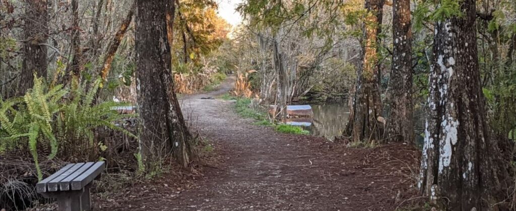 CREW Bird Rookery Swamp Trail