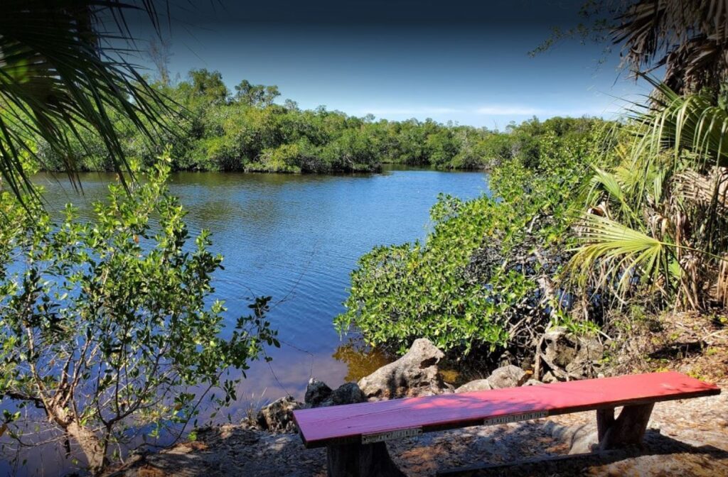 Gordon River Greenway Park In Naples Florida