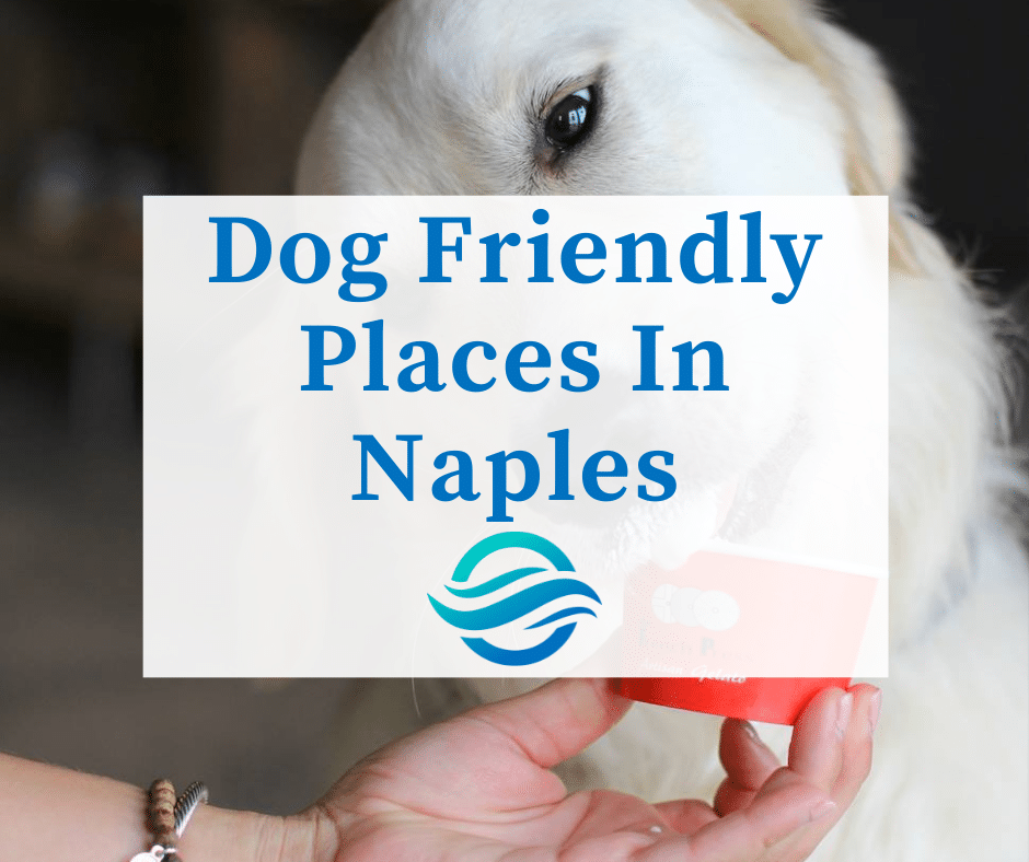 Dog Friendly Places In Naples