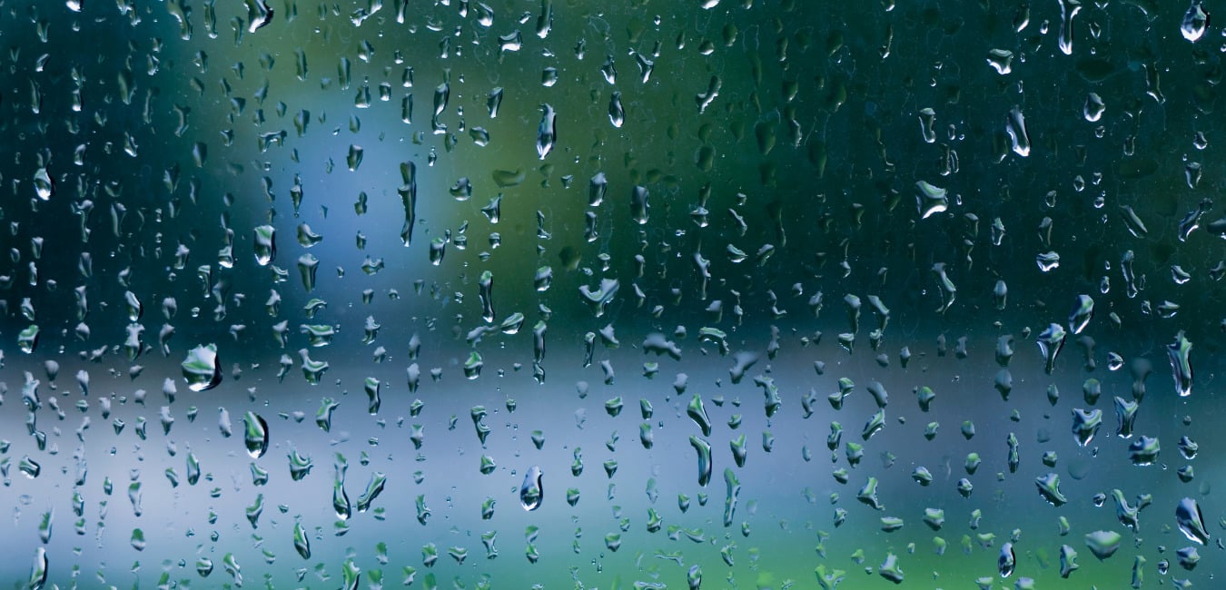 Rain on a window