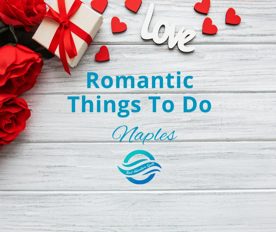 Magical Flowers Naples Florida Best Flower Site