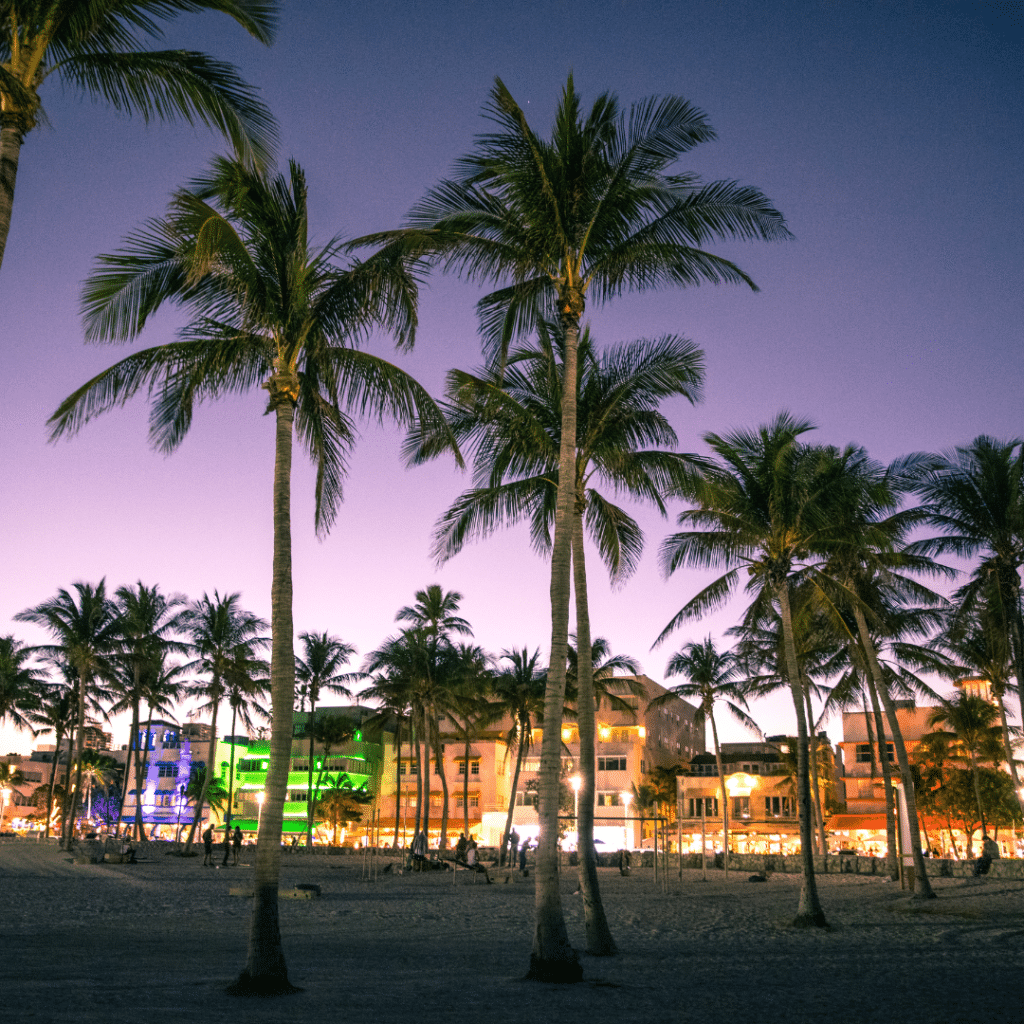 Miami FL Night
