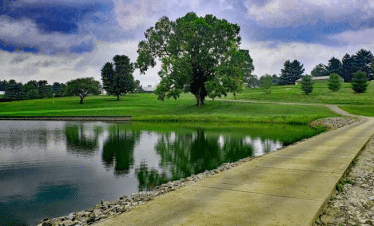 Tee box view at The Woodford Club